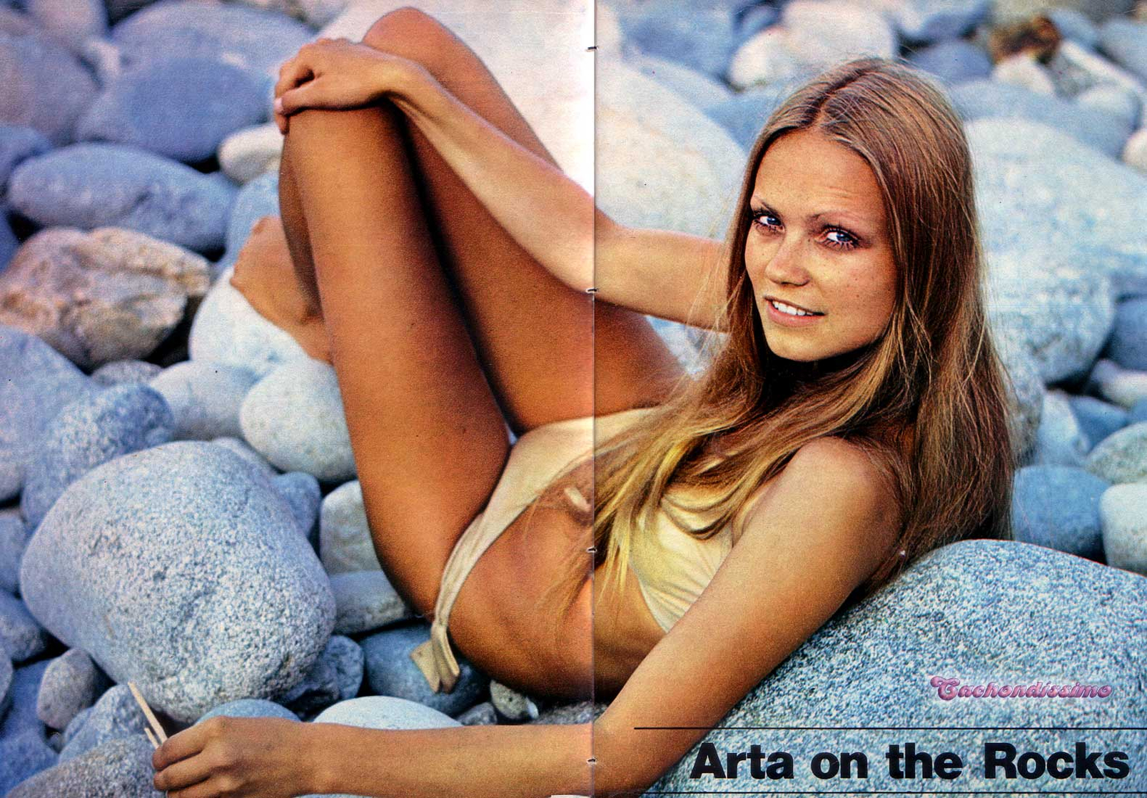 Arta Abele