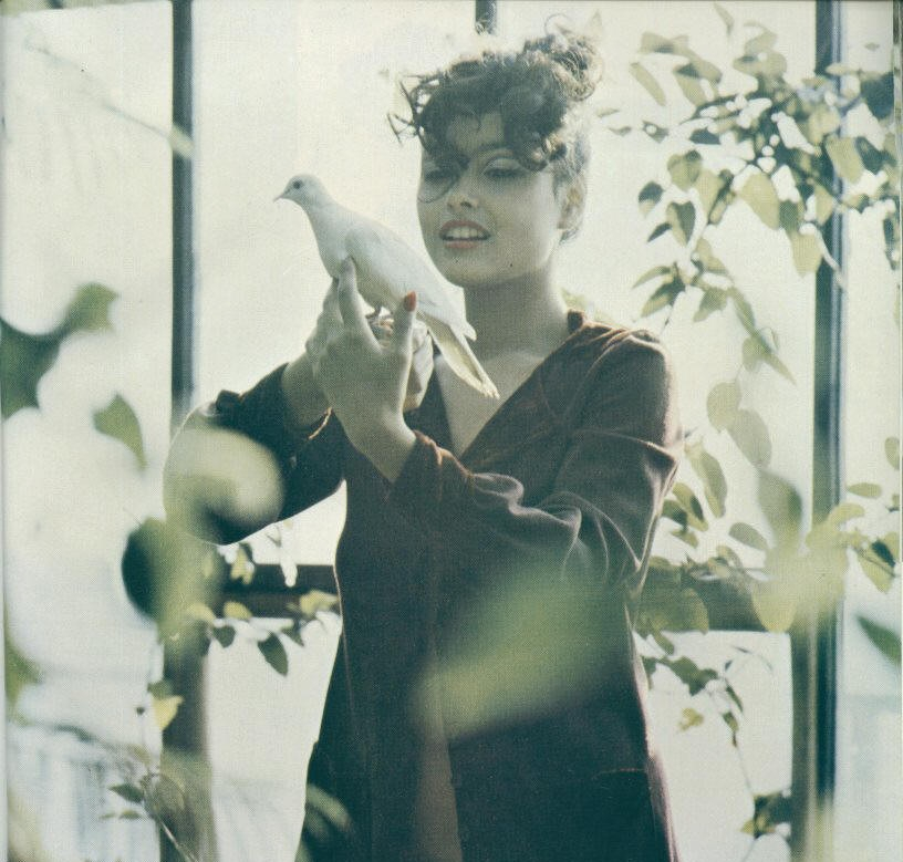 Carole Augustine