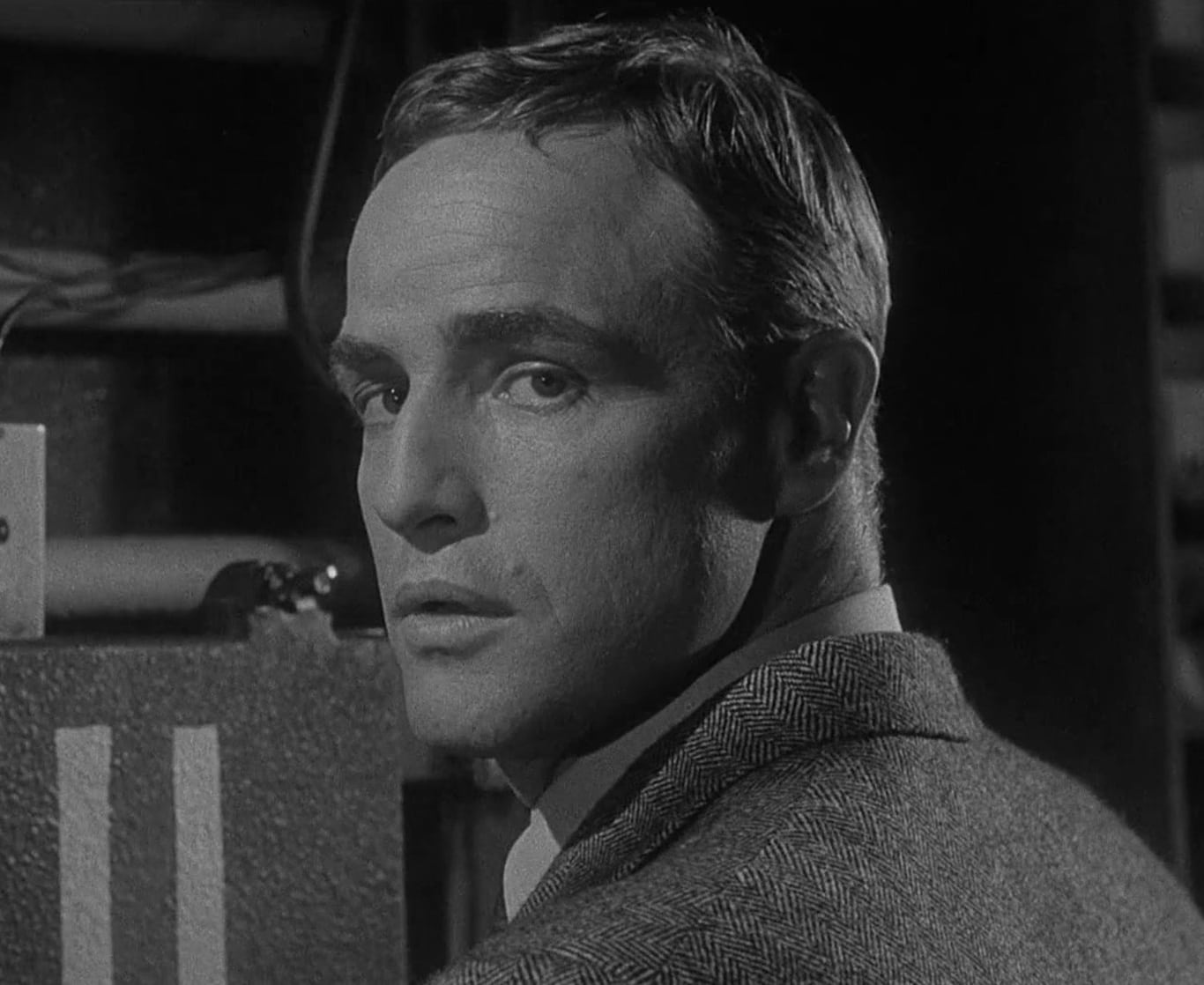 Marlon Brando picture