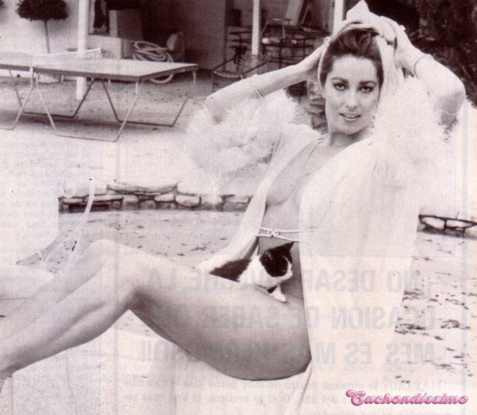 Edy Williams Edy Williams