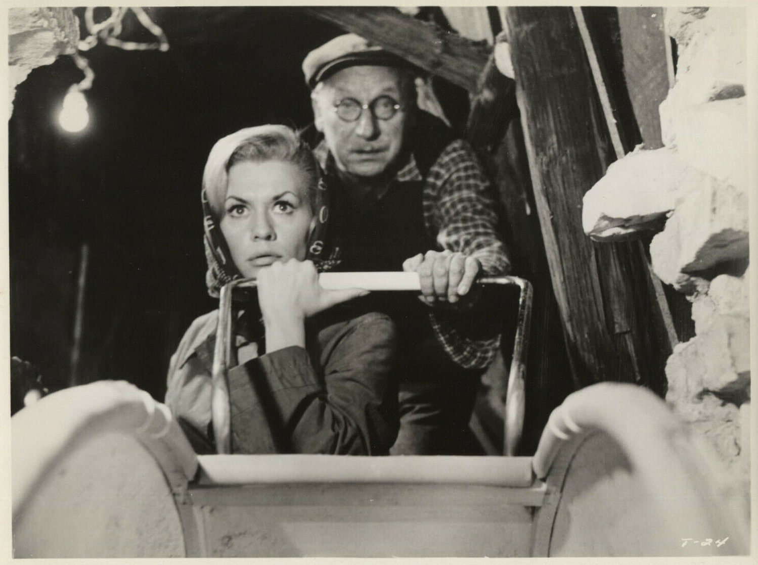 Ingrid van Bergen