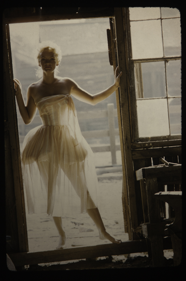 Picture of Fay Spain