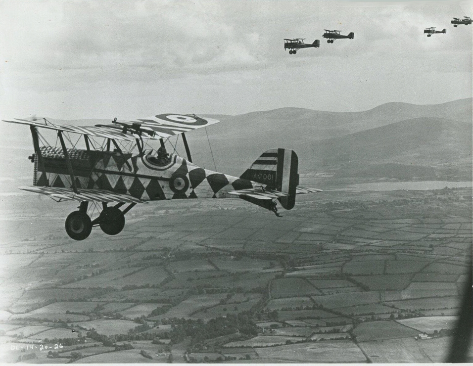 Picture of Darling Lili