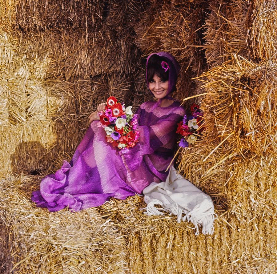 Audrey Hepburn