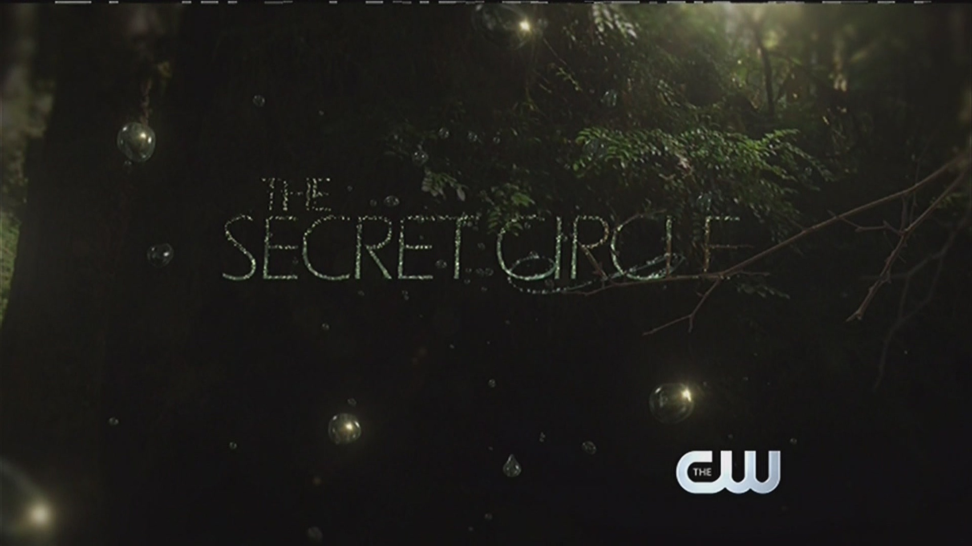 The Secret Circle