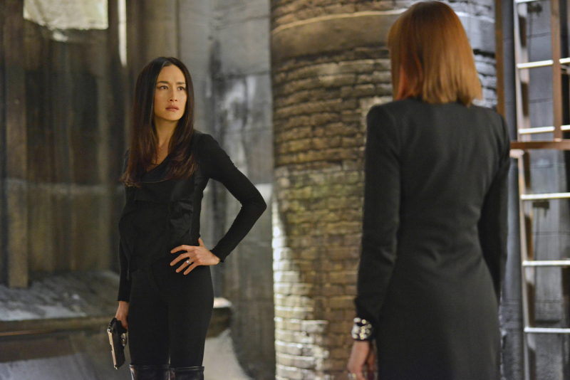 Maggie Q