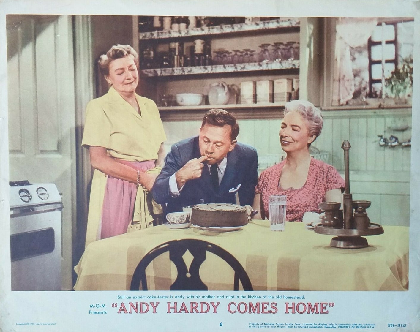 Picture of Andy Hardy Comes Home (1958)