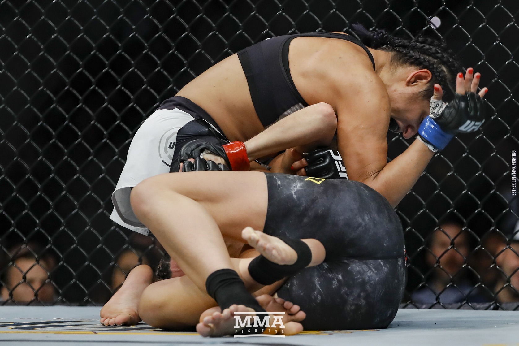 Cynthia Calvillo