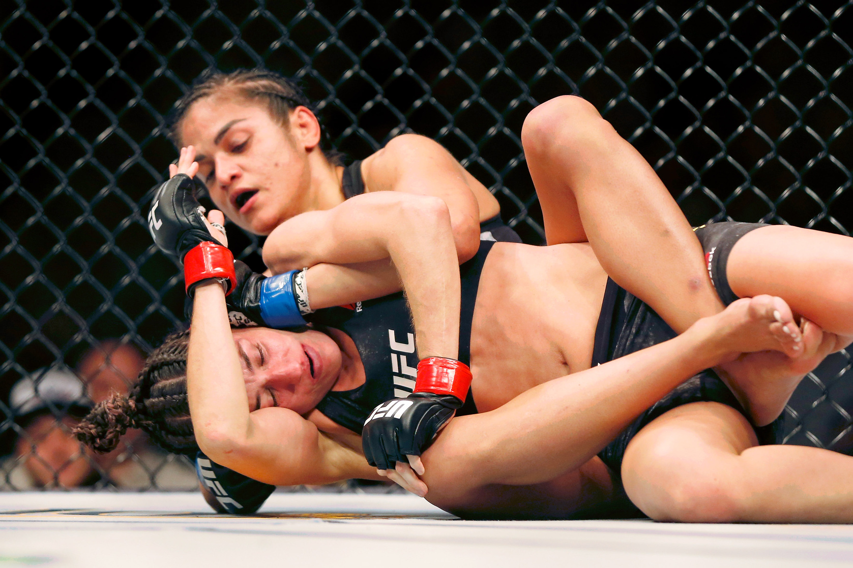 Cynthia Calvillo
