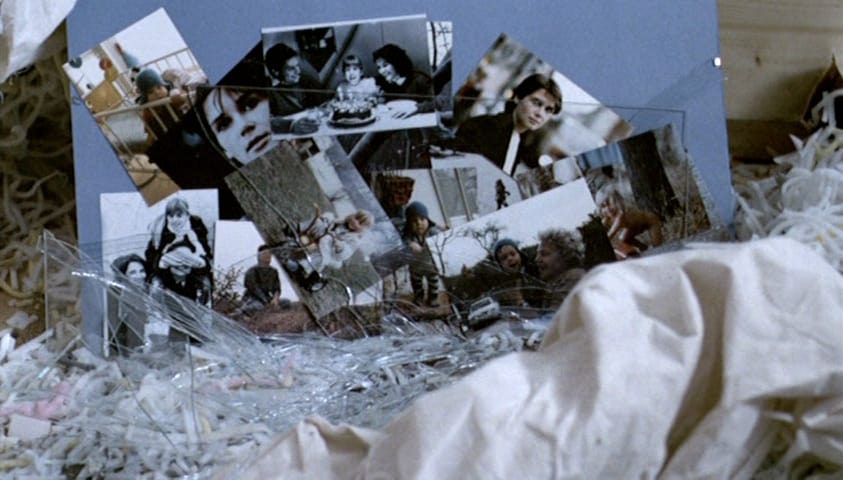 The Seventh Continent (1989)