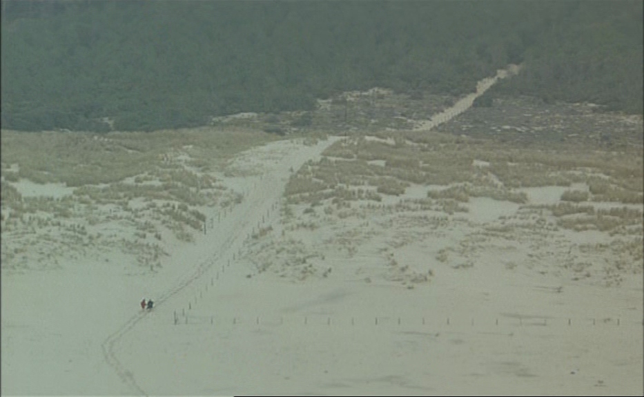 The Lovers on the Bridge (1991)
