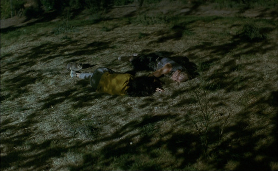 The Lovers on the Bridge (1991)