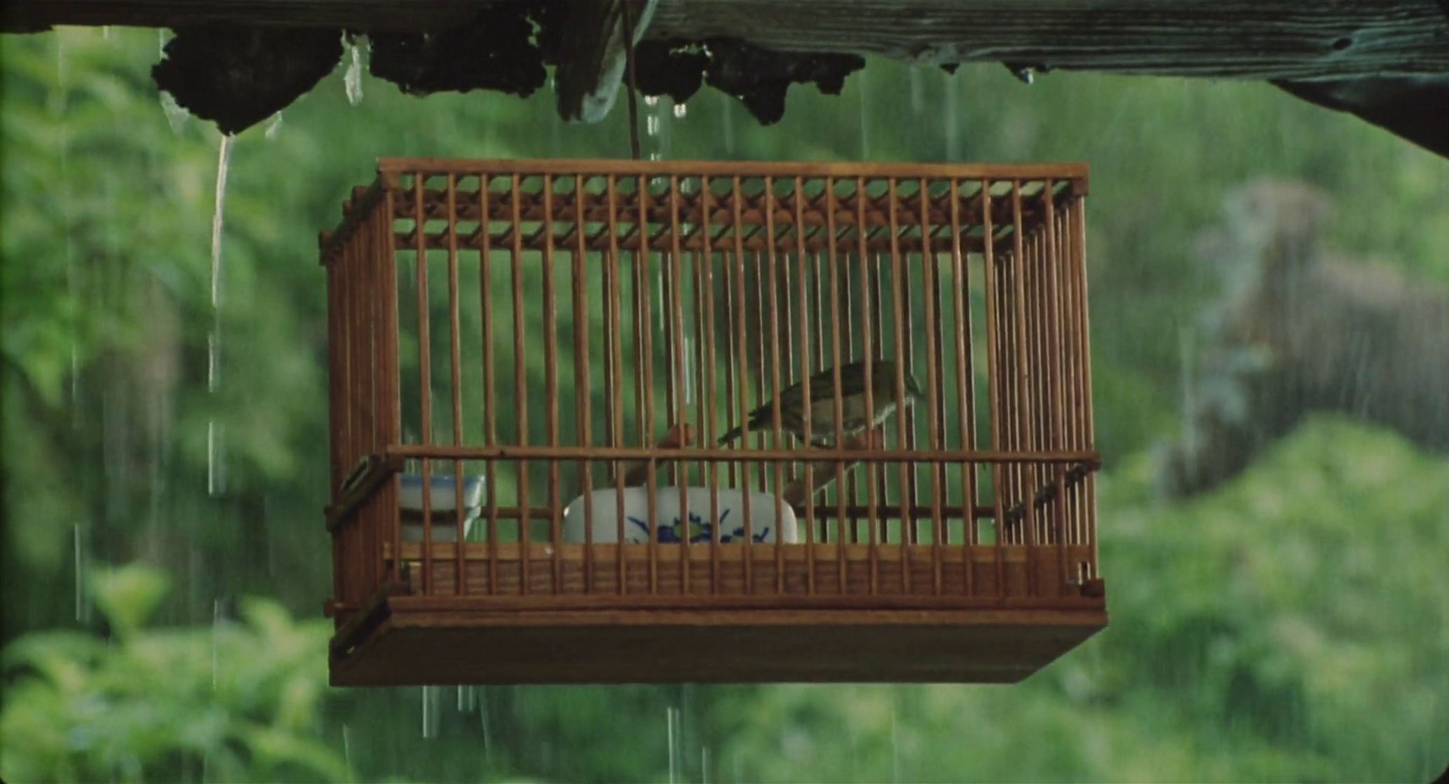 Mâdadayo (1993)