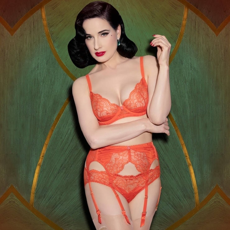 Picture Of Dita Von Teese