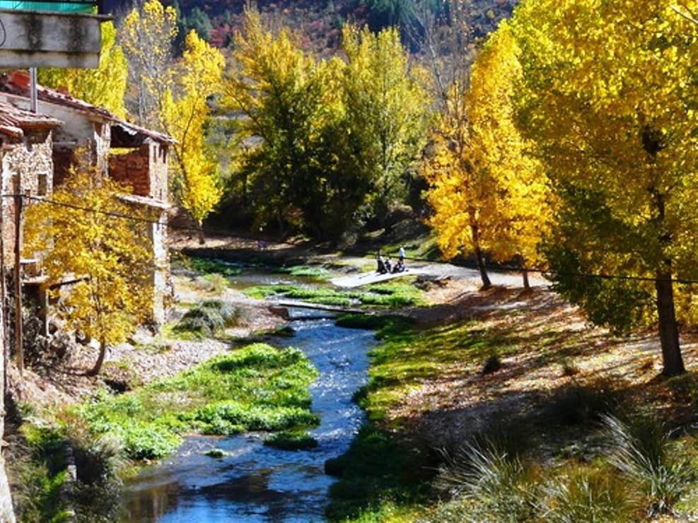 Río Martín (Zona maravillosa)