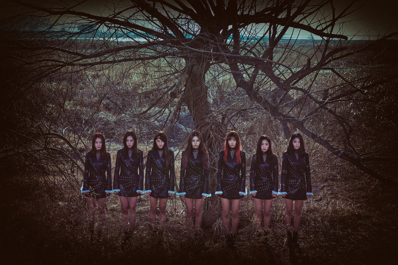 Dreamcatcher Dreamcatcher