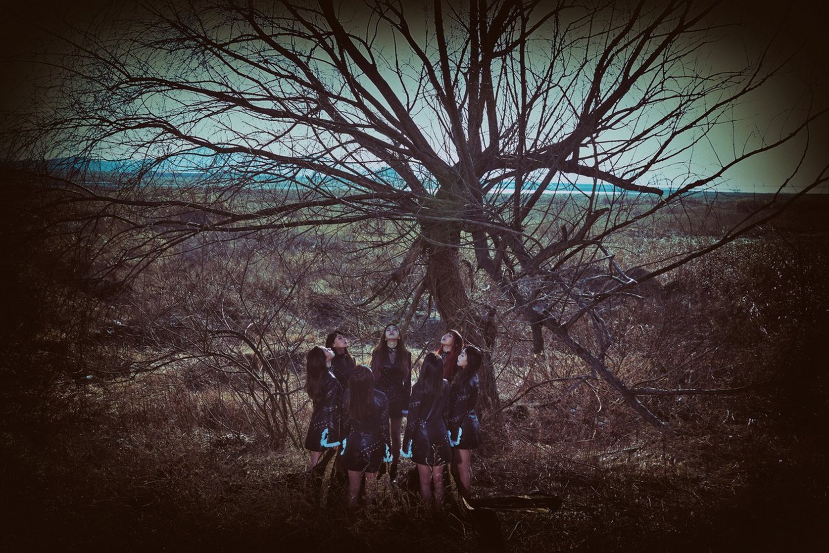 Dreamcatcher Dreamcatcher