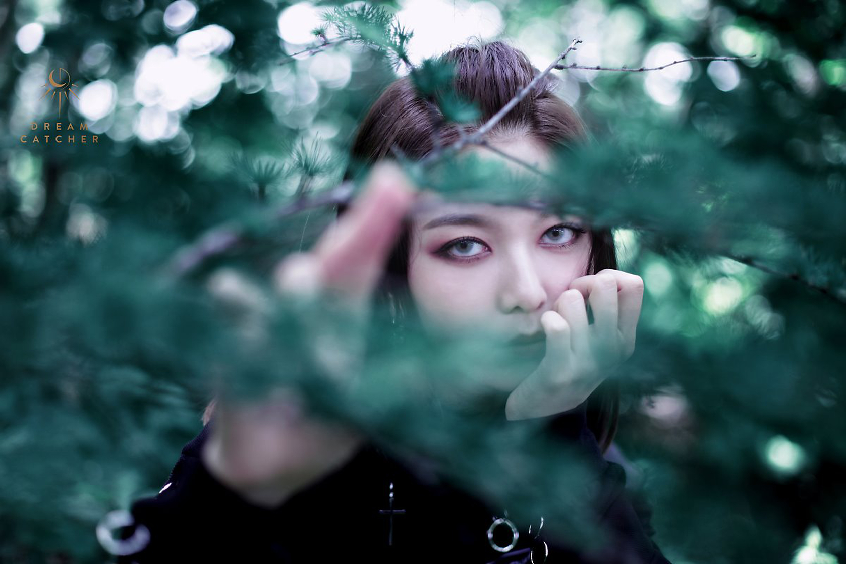 Dreamcatcher
