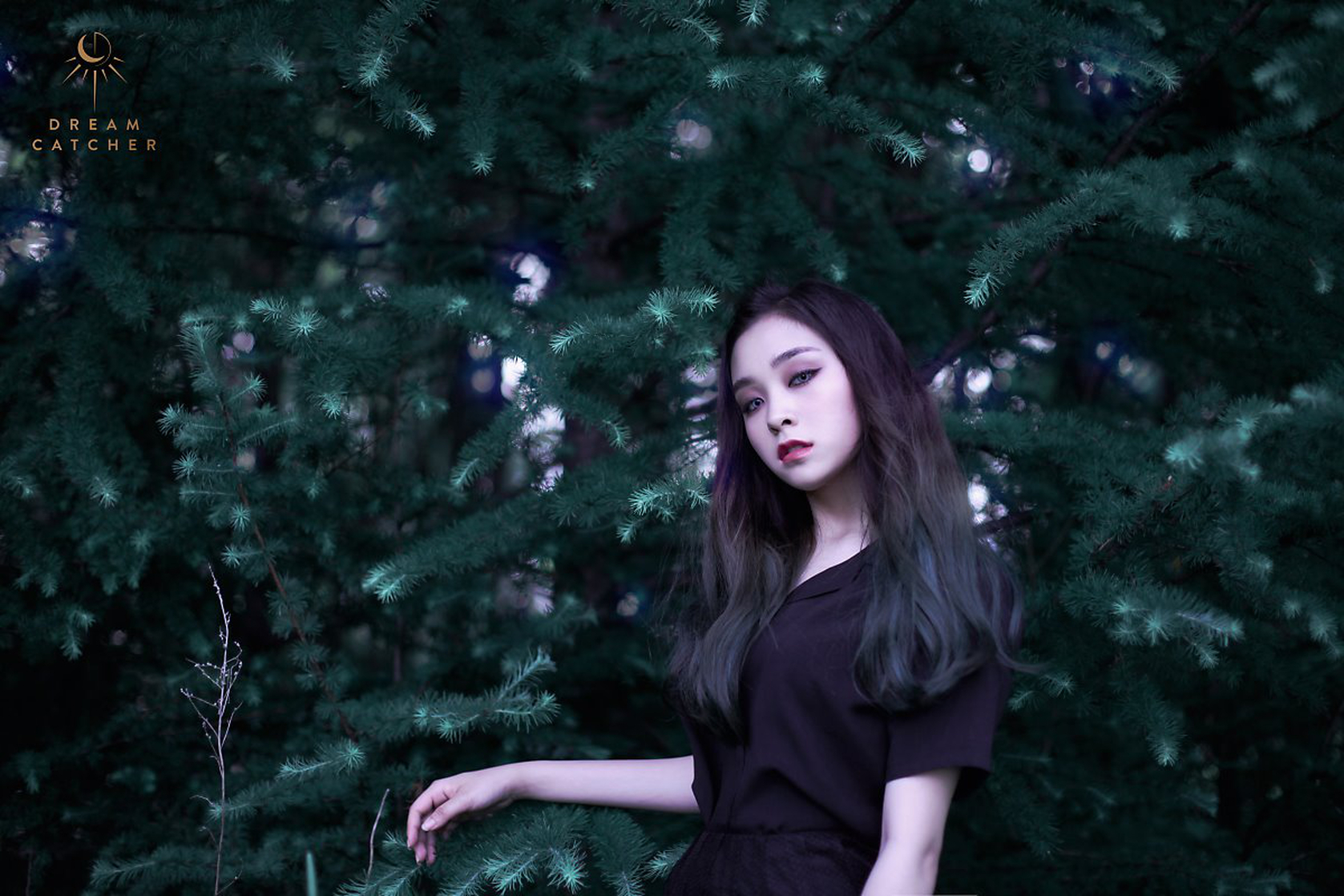 Dreamcatcher