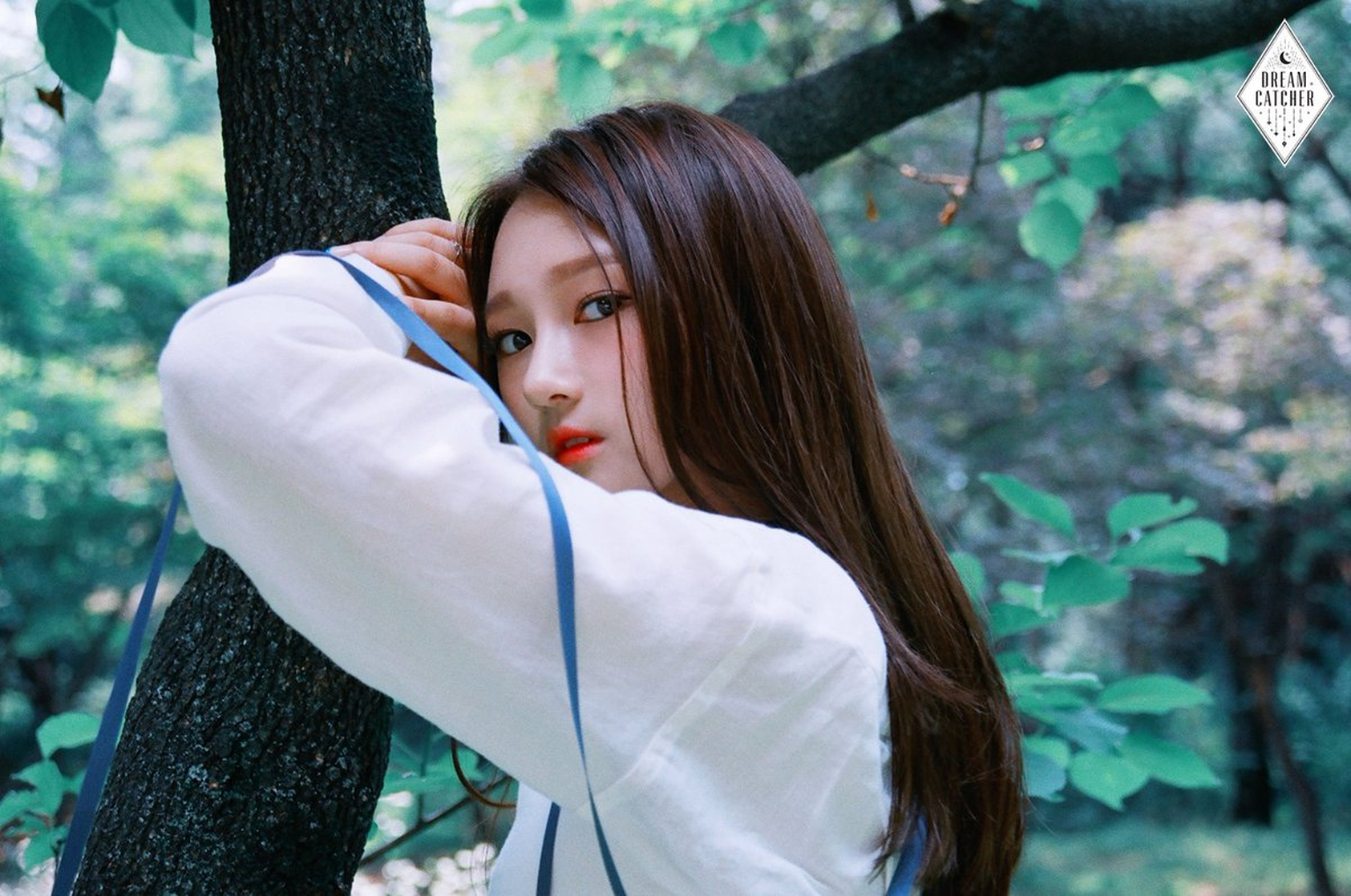 Dreamcatcher Dreamcatcher