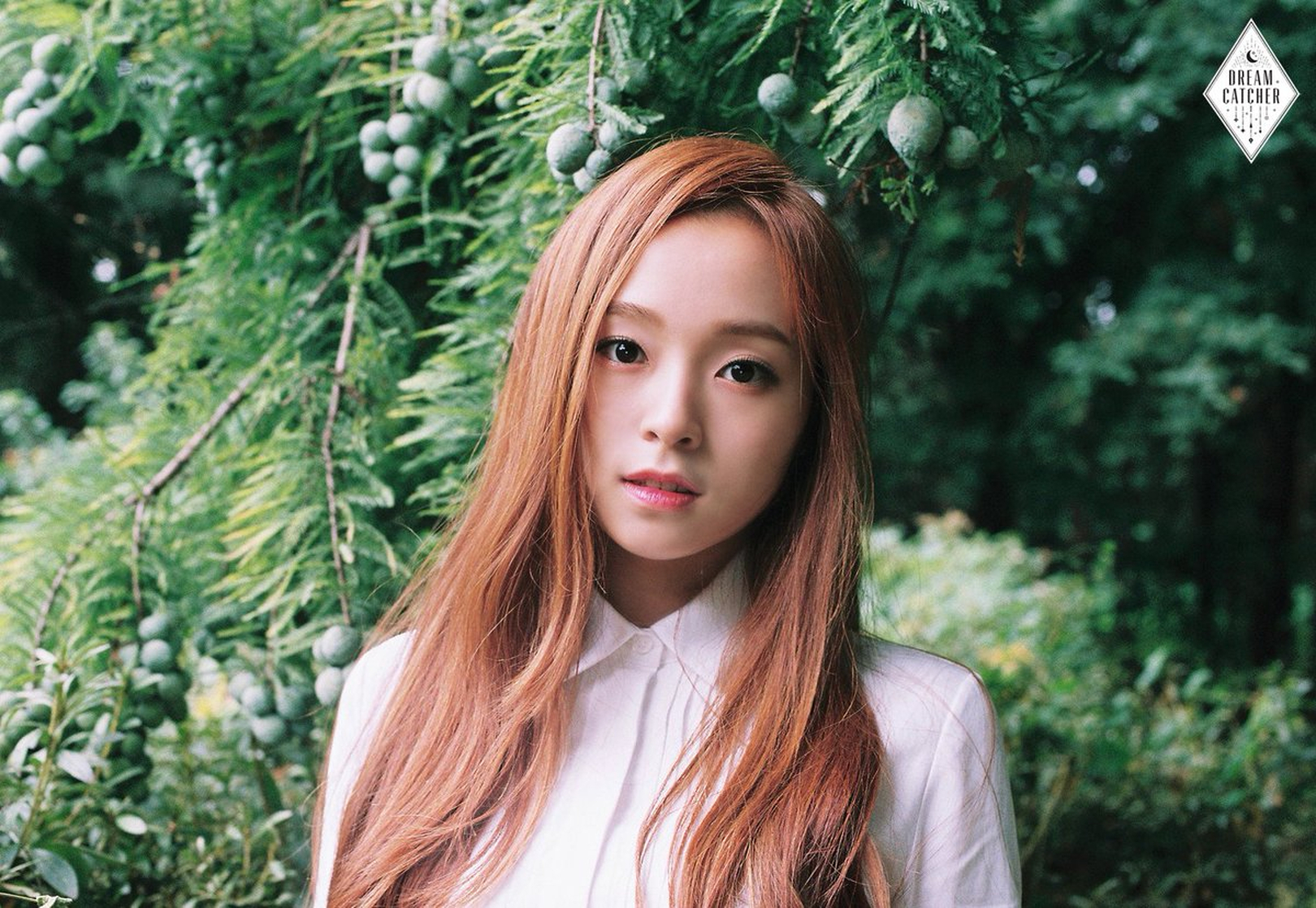 Dreamcatcher Dreamcatcher