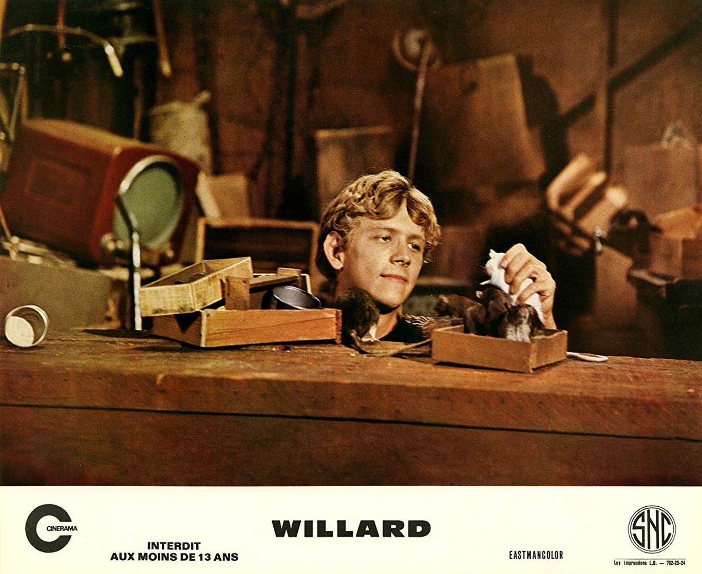 Picture of Willard