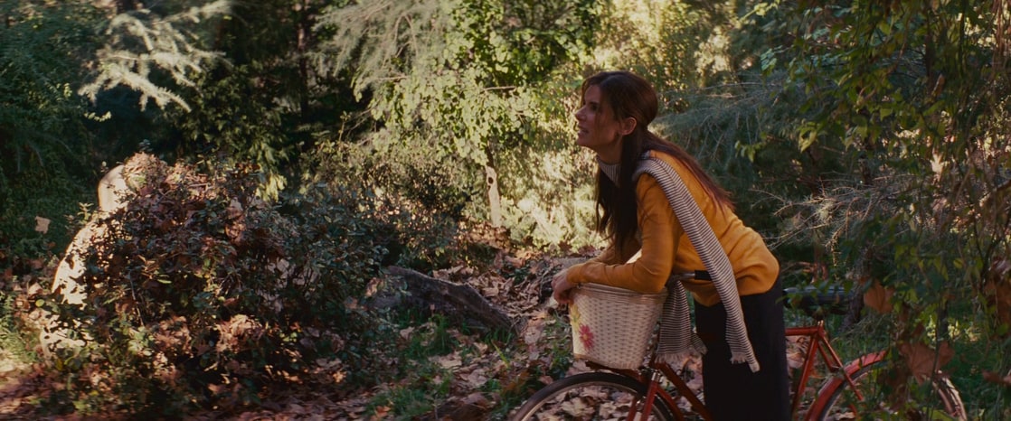 The Proposal The Proposal