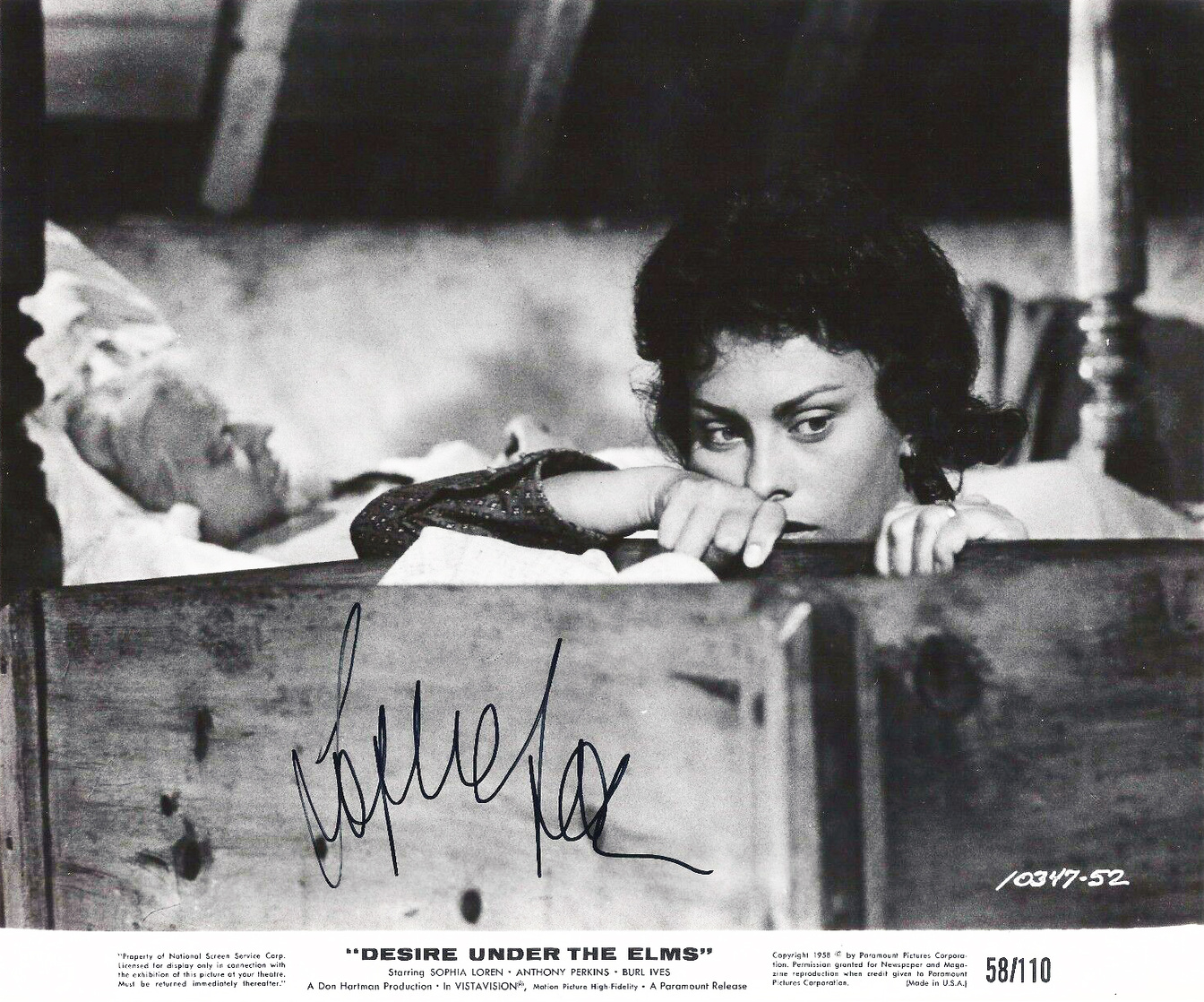 Sophia Loren