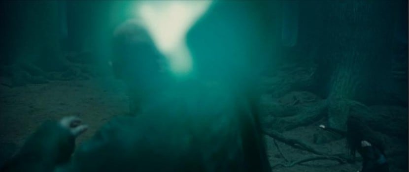 Harry Potter and the Deathly Hallows: Part 2