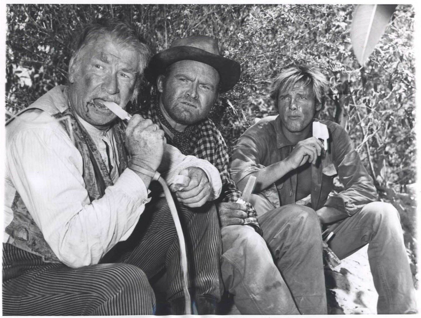 Chill Wills
