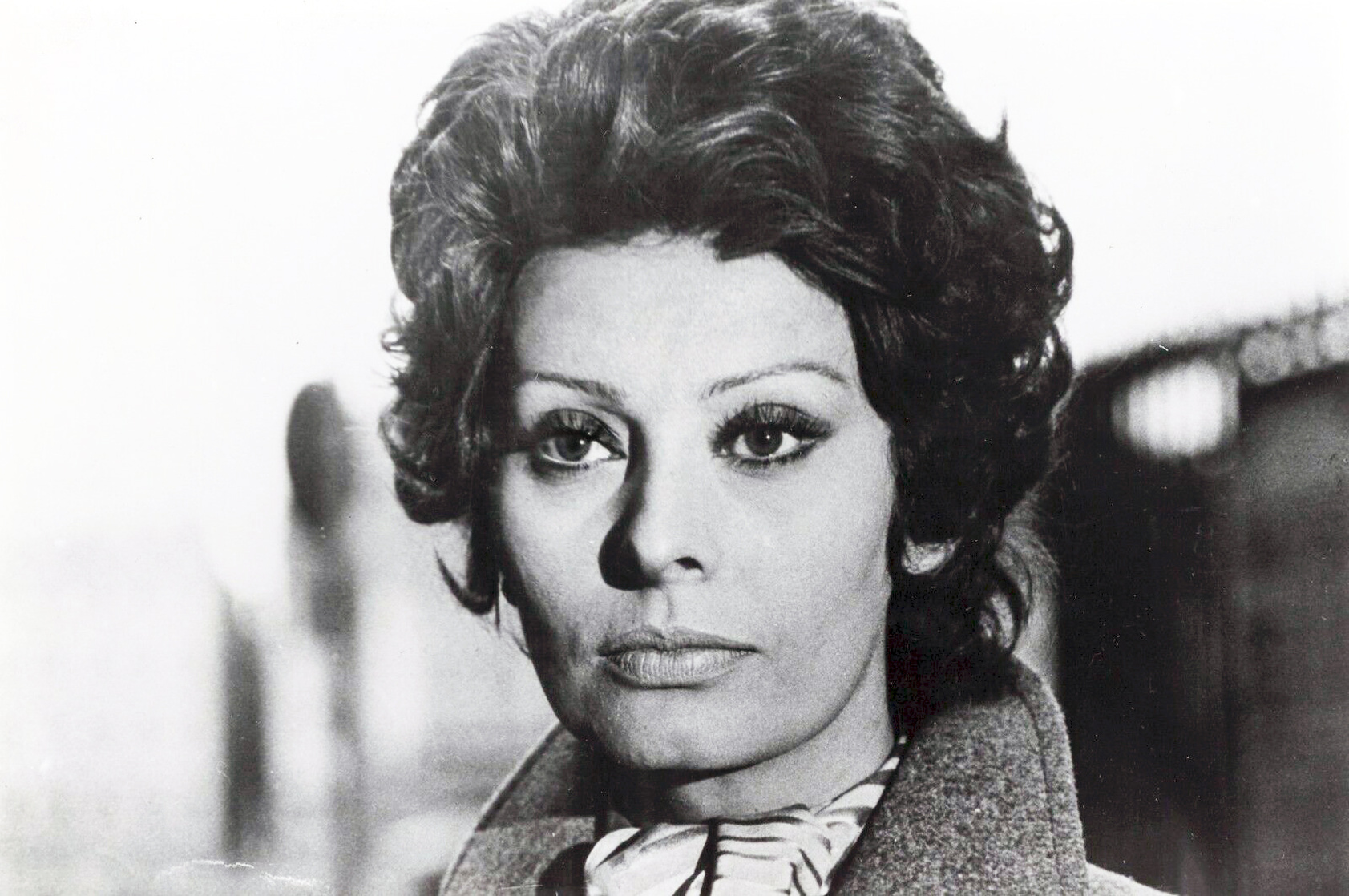Sophia Loren Sophia Loren