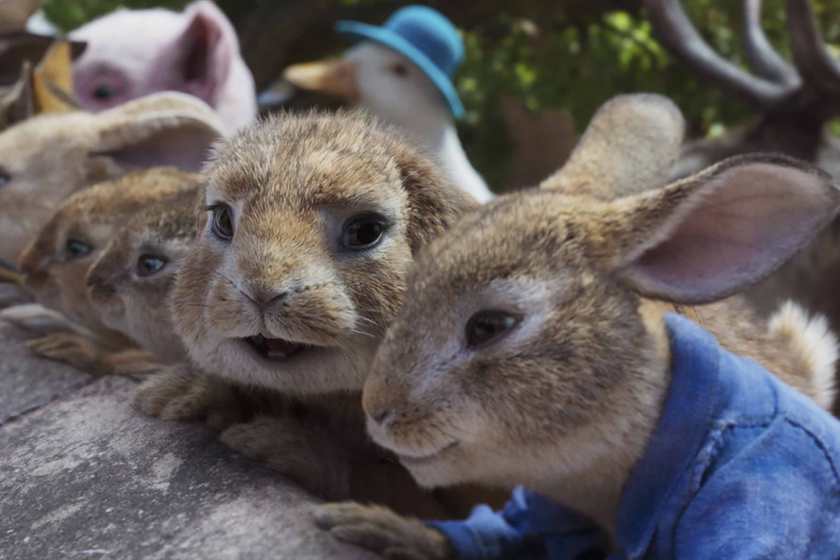 Peter Rabbit 2: The Runaway