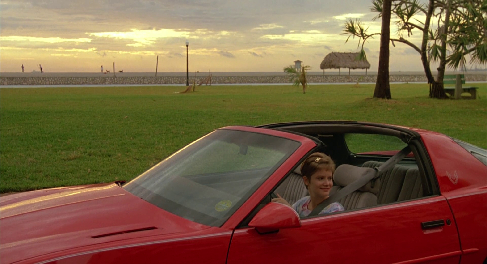 Miami Blues Miami Blues