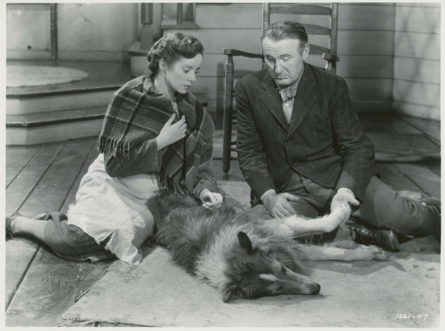 Lassie Come Home Lassie Come Home