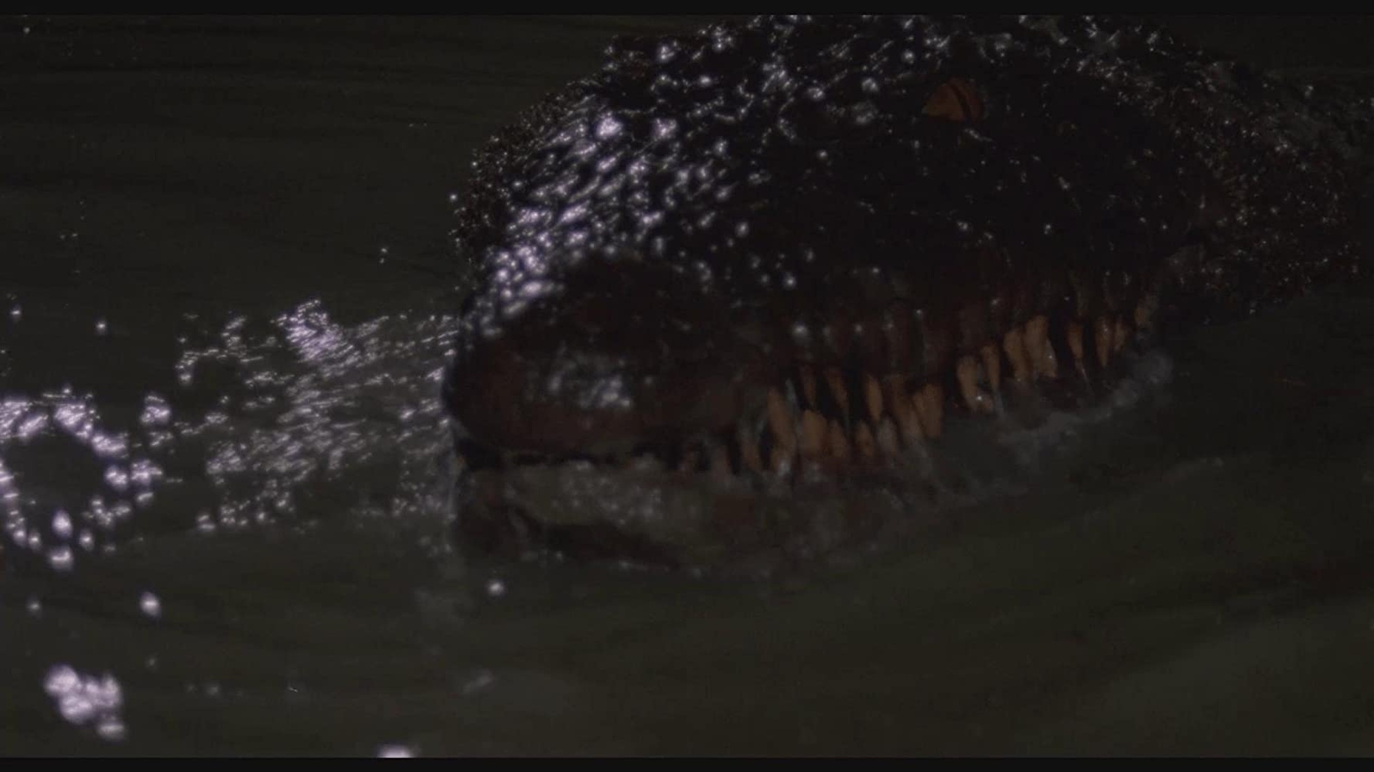 Killer Crocodile