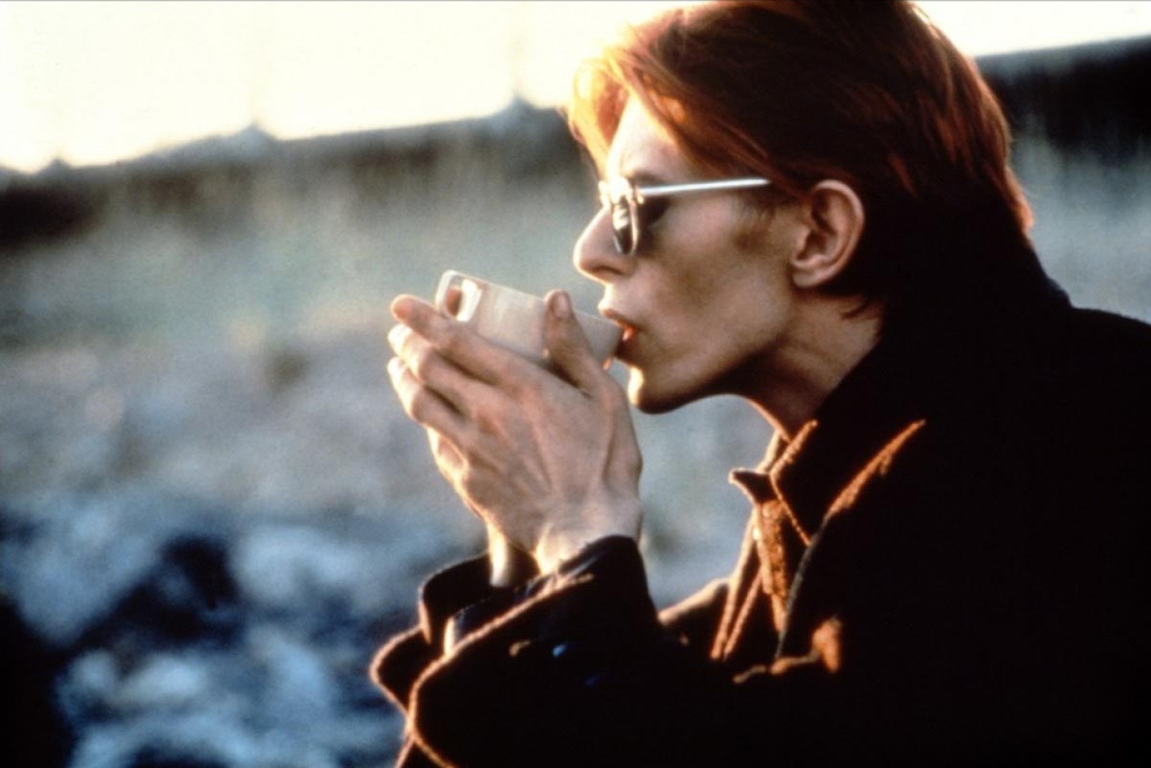 The Man Who Fell to Earth