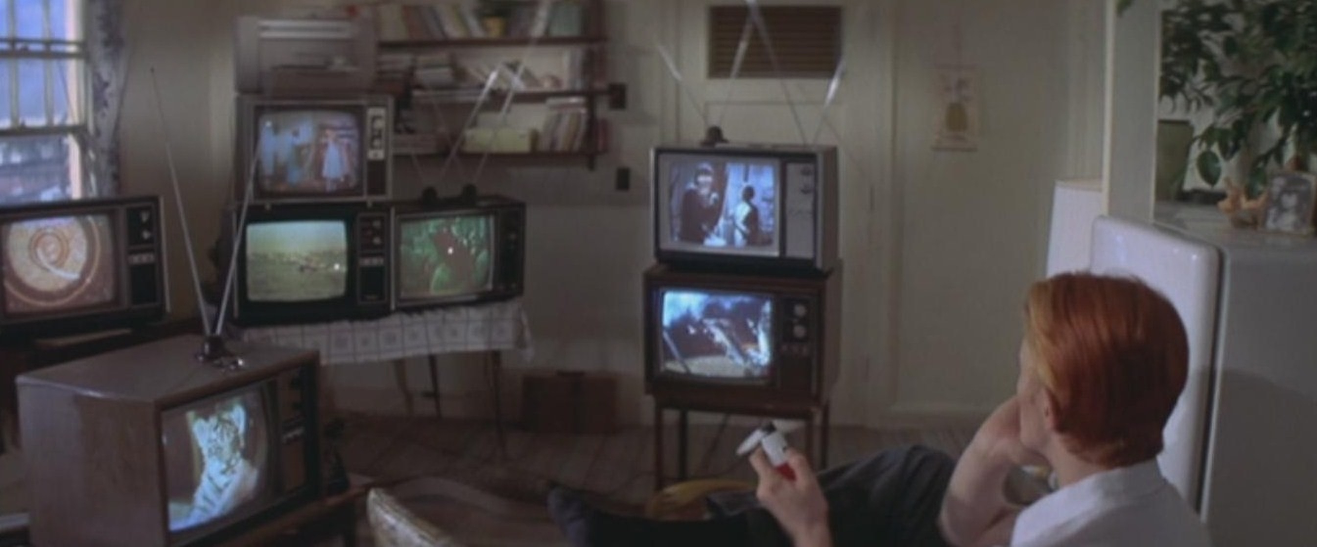 The Man Who Fell to Earth