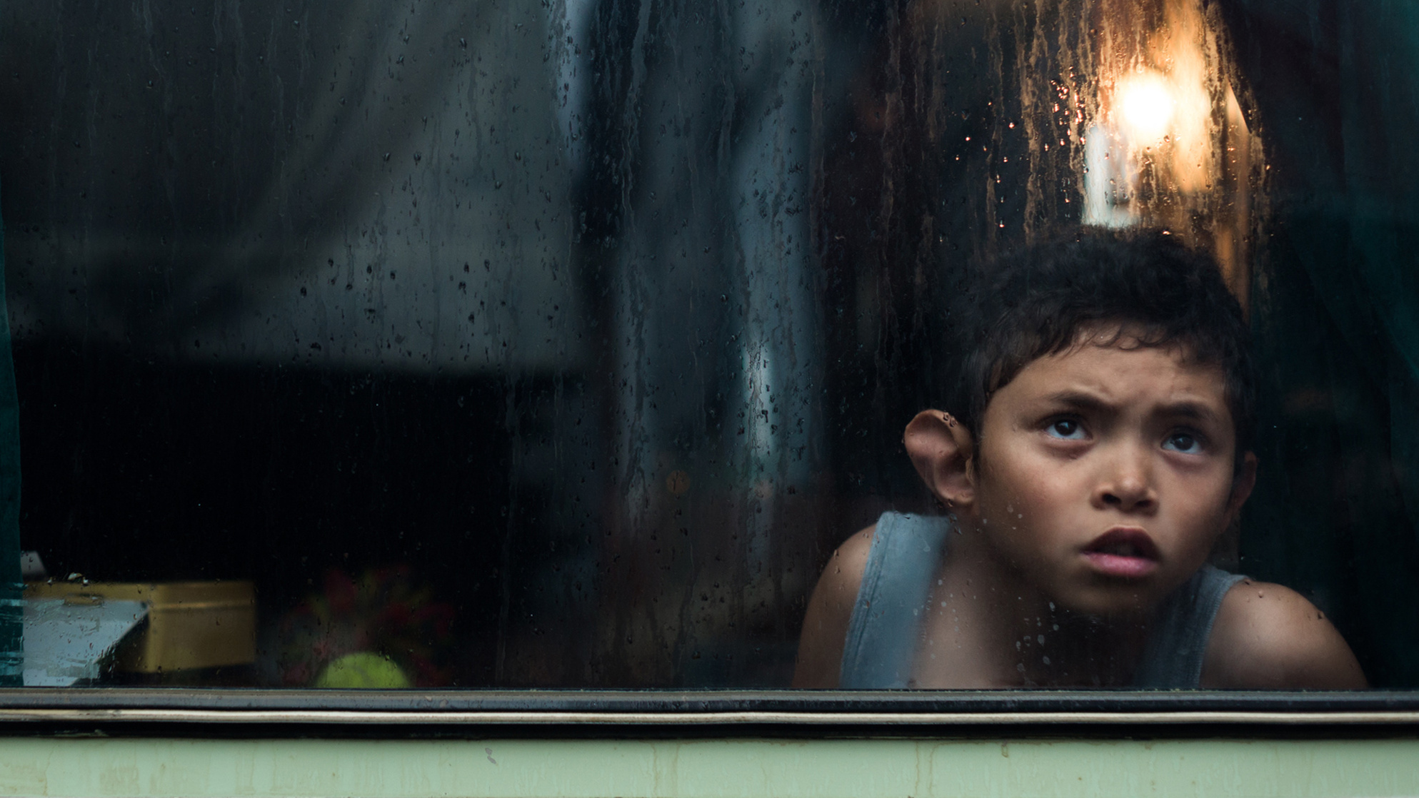 The World in Your Window