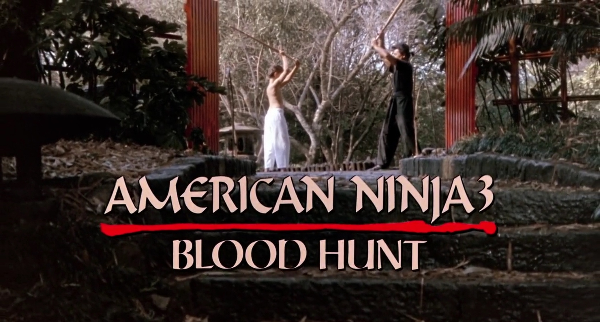 Picture of American Ninja 3 Blood