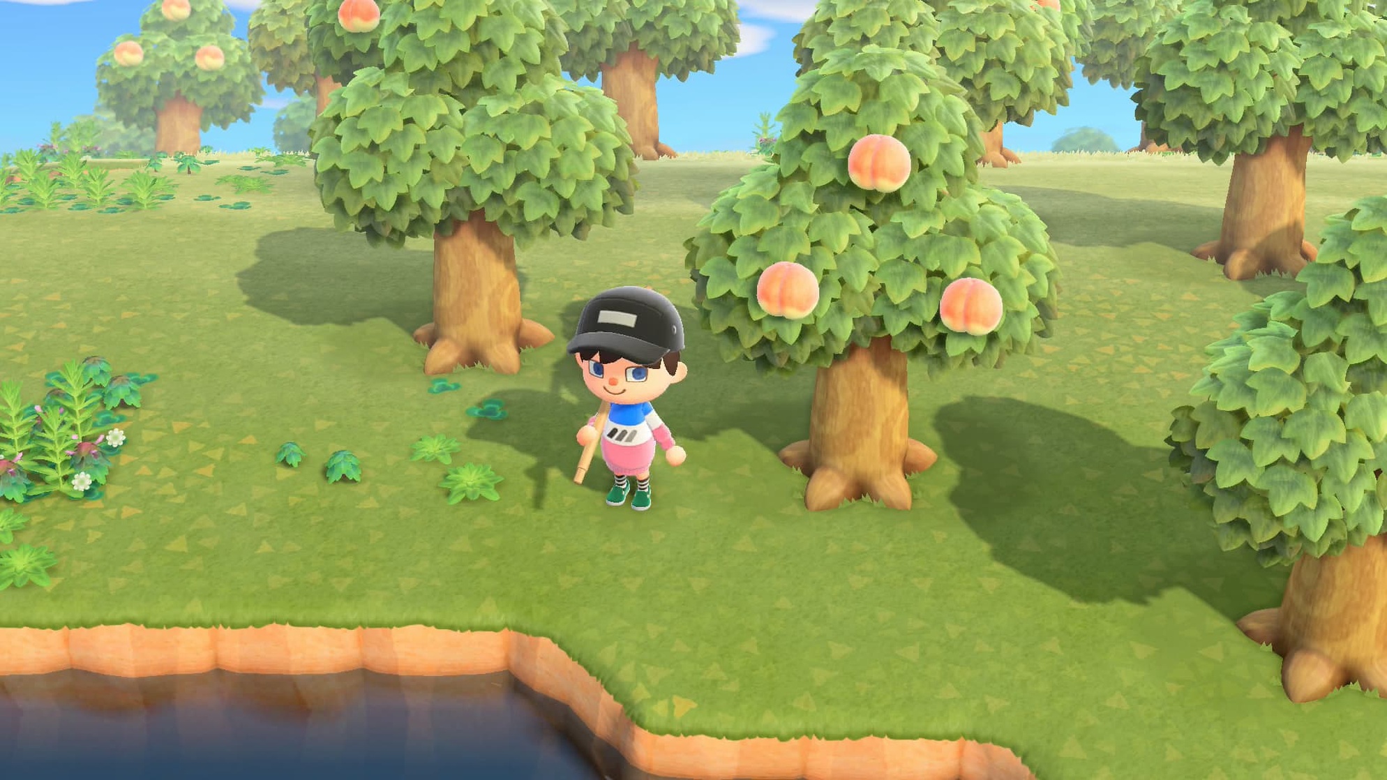 Animal Crossing: New Horizons