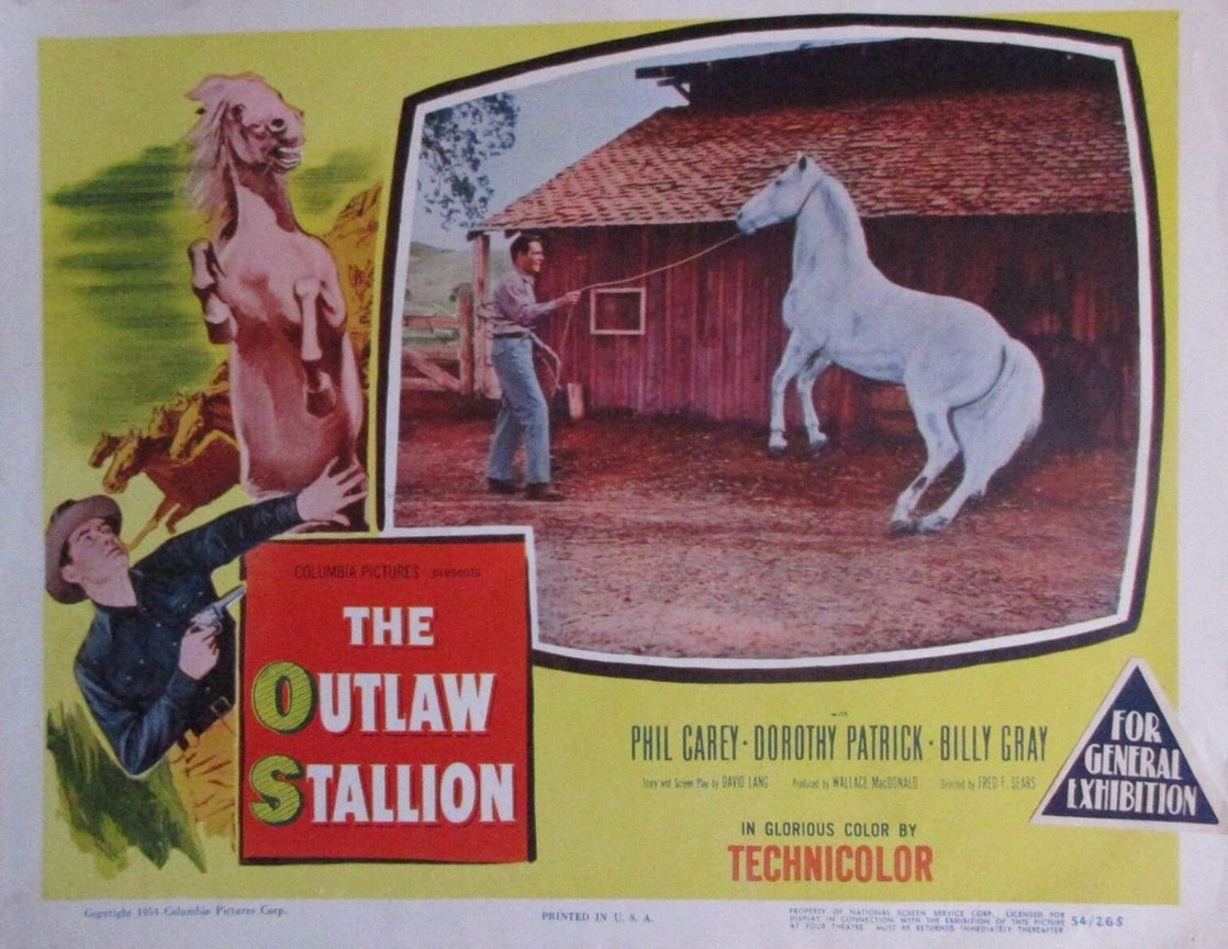 The Outlaw Stallion