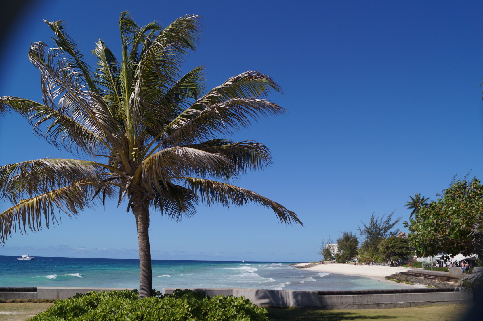 Barbados Barbados