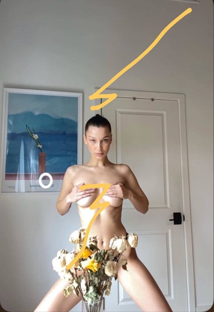Picture of Bella Hadid.