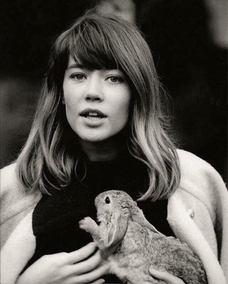 Picture of Françoise Hardy