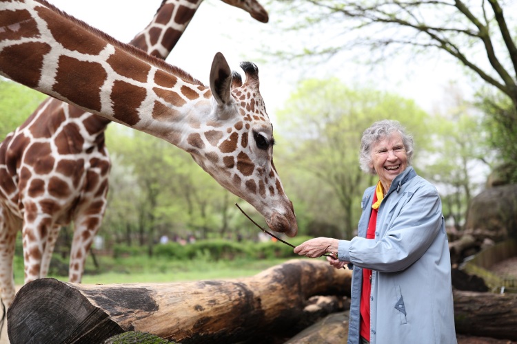 The Woman Who Loves Giraffes