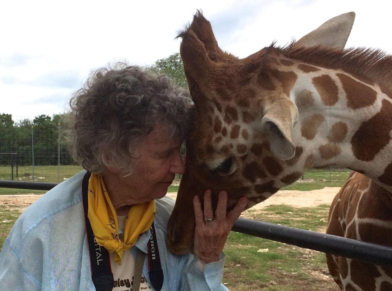 The Woman Who Loves Giraffes