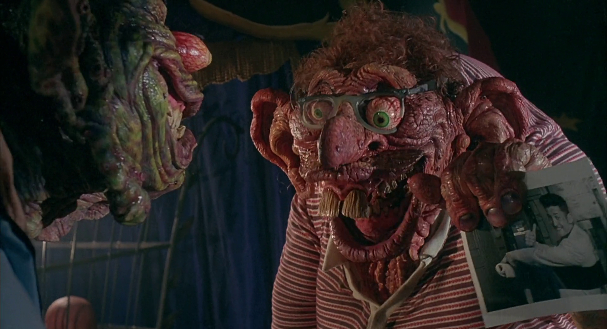 Freaked Freaked