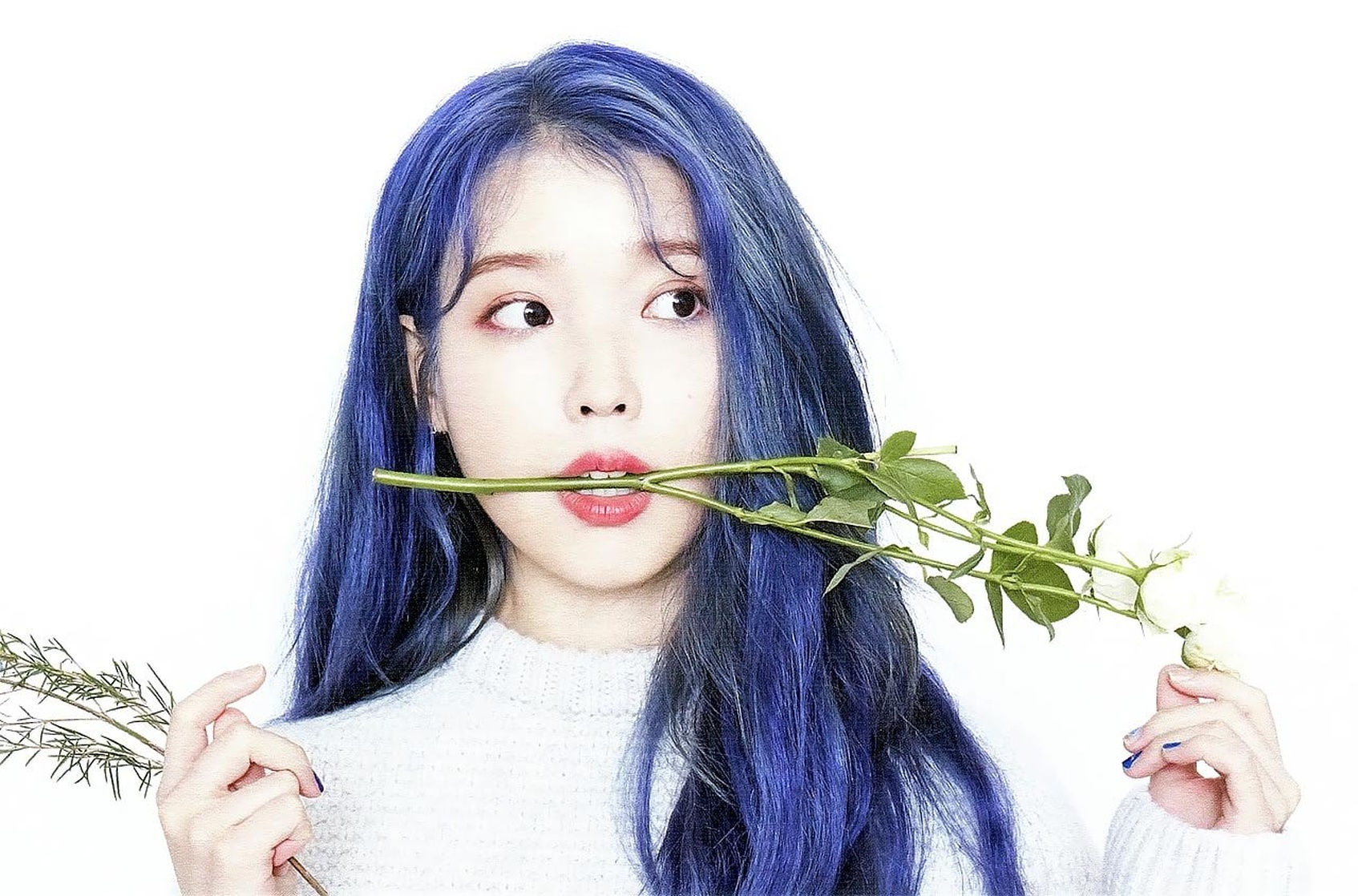 IU IU