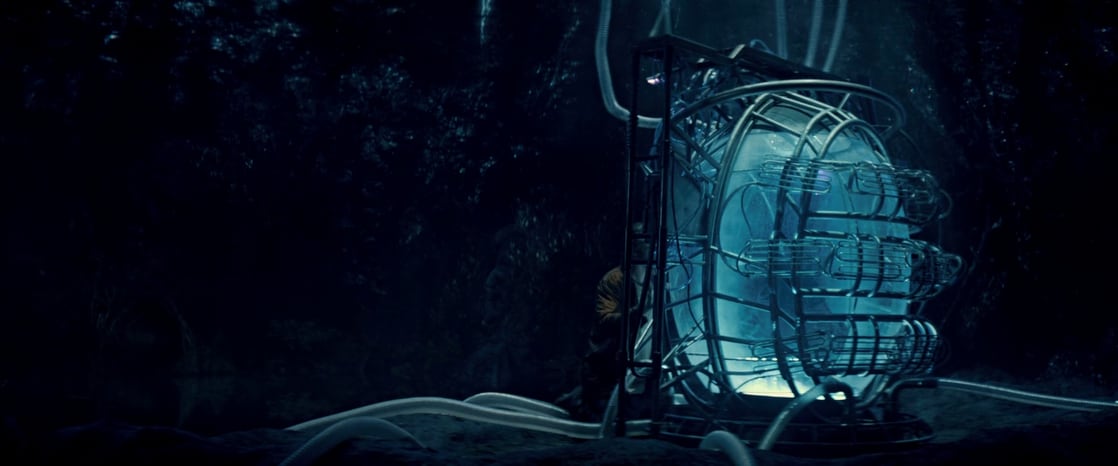 Image of In the Shadow of the Moon