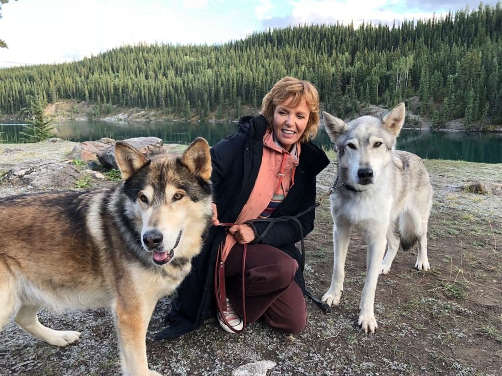 Yukon - Ruf der Wildnis